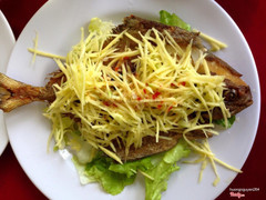 Cá chiên mắn xoài