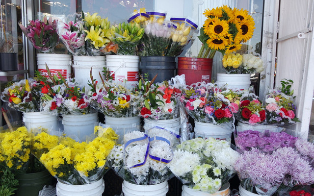 Mộc Miên - Flower Shop