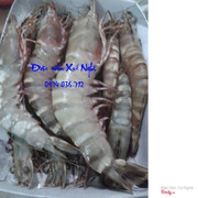 Tôm sú biển Cửa Lò
https://www.facebook.com/dacsanxunghe.vn