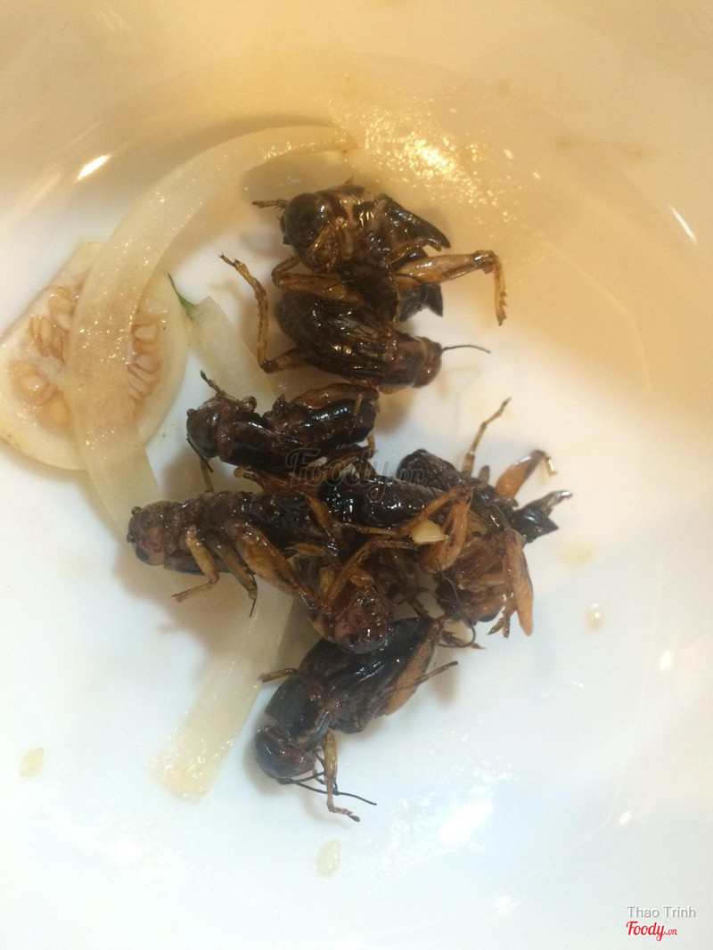 Dế