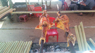 GÀ NƯỚNG 250K/COM