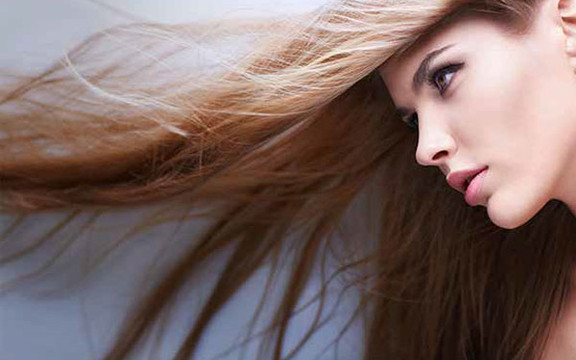 Ly Đỗ - Hair Design