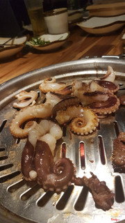 Octopus