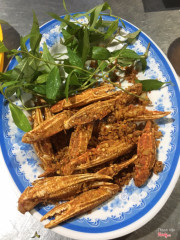 Càng ghẹ tạm được