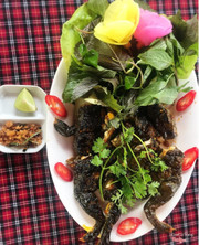 ếch nướng muối ớt