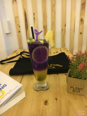 Hoa đậu biếc chanh leo