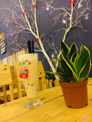 Trà sữa túi lọc