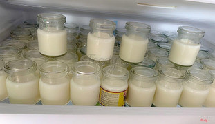 yaout nhà làm 5k/hũ