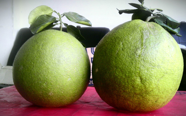 36 Trái Cây Bốn Mùa