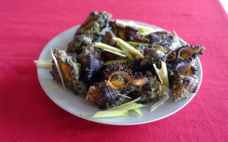 Cù Lao Chàm