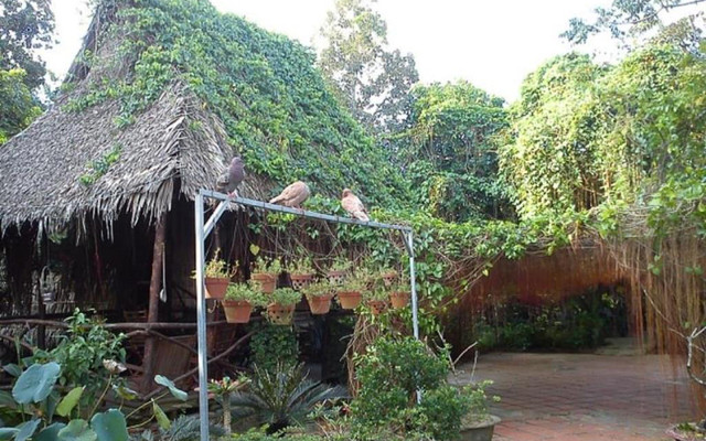 Cái Sơn Orchard Homestay