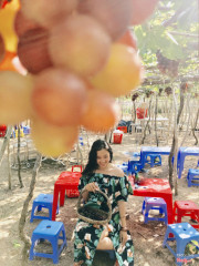 Vườn nho Ninh Thuận Tour Hợi Heo