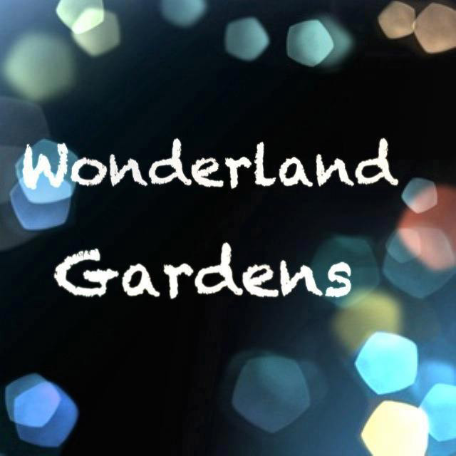 Wonderland Gardens - Khu Chụp Ảnh