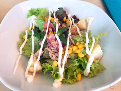 Salad cá ngừ