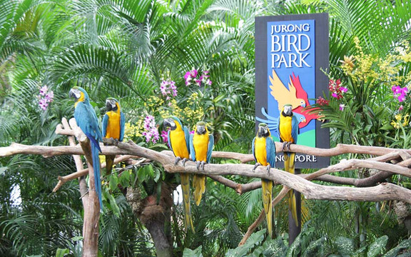 Jurong Bird Park