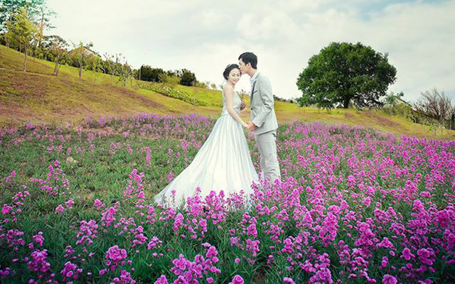 Lợn.Studio - Bùi Đình Túy