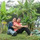 Duong Ngoc Long