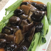 bào ngue xào nấm đông cô sốt dầu hào