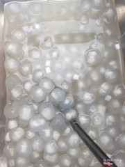 Chè bột lọc dừa tươi