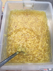 Hè bưởi hoặc chè hoa cau