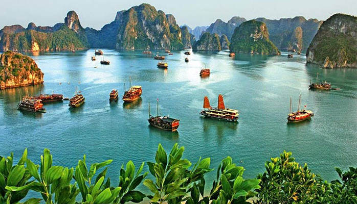 Halong Promotion Tours