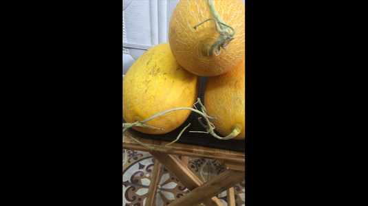 Family Juice - Sinh Tố & Nước Ép Trái Cây Tươi Nguyên Chất