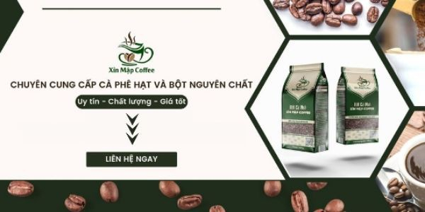 XỈN MẬP COFFEE - Cà Phê Muối, Cà Phê Cốt Dừa & Cốt Dừa Cốm Xanh