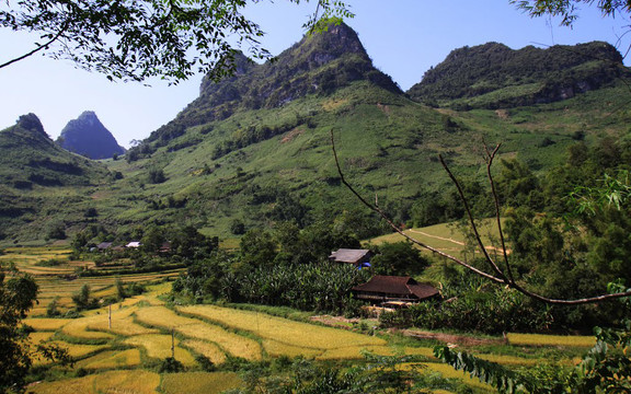 Nà Heng - Bảo Lạc