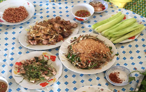 Quỳnh Anh - Đặc Sản Mèo & Gà