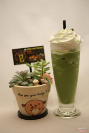 Matcha Freeze