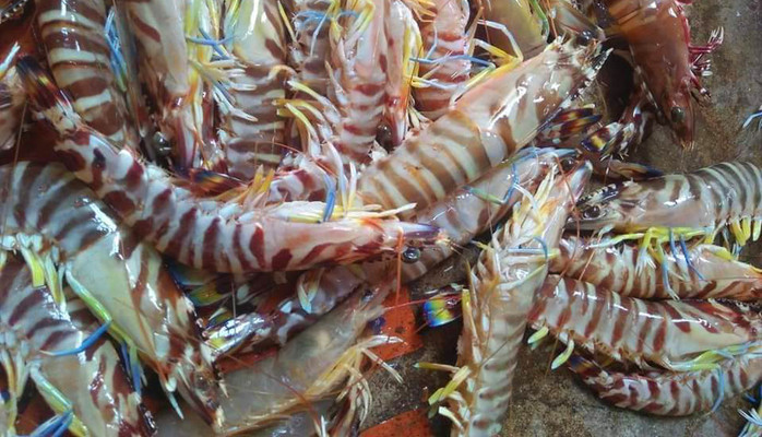 Trường Châu - Đặc Sản Xứ Nghệ