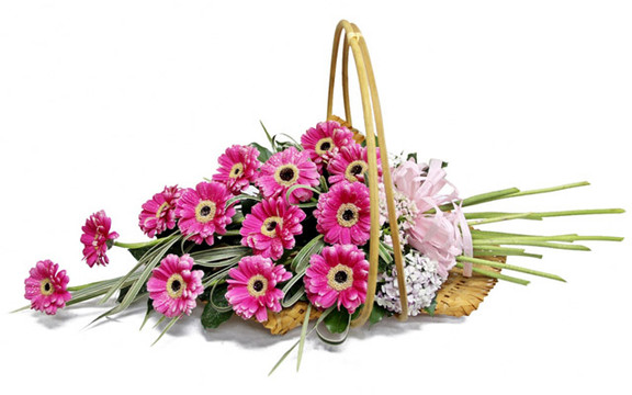 Shop Hoa Phương Dung