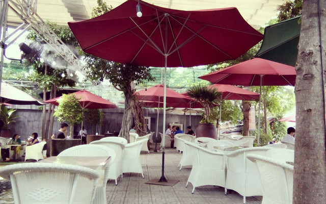 Cây Xoài Coffee
