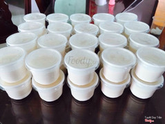 Sữa chua phô mai 5.000đồng/1 hủ