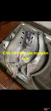 Quá chất