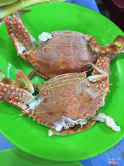 Ghẹ [ Nhỏ nhỏ mà chắc lắm nhé ]