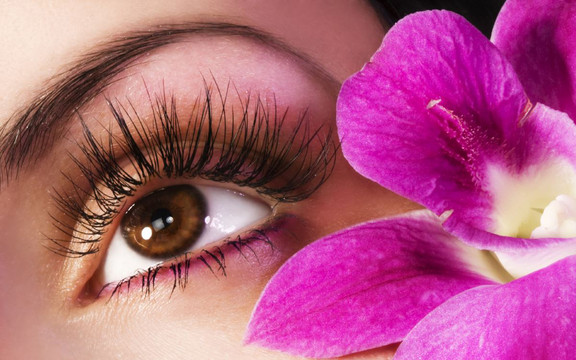 Lux Beauty Lashes - Nối Mi Châu Âu