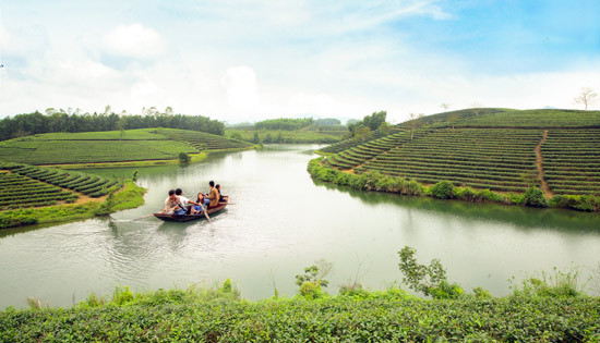 Đảo Chè Thanh Chương