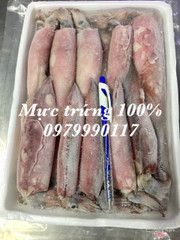 Mực 100% trứng size 18-22 con/kg