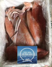 Mực lá đại dương