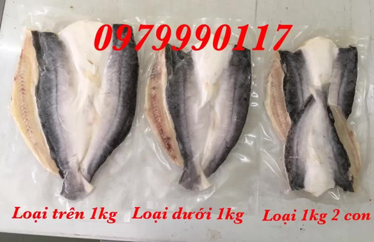 🐟🐟 CÁ MỘT NẮNG CÁC LOẠI 🐟🐟