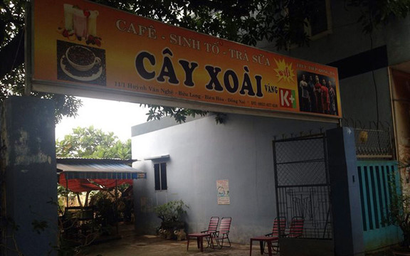 Cây Xoài Cafe 