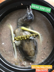 Bồ Câu Nấu Cháo Đậu xanh 120k/1Phần