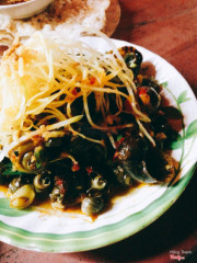 ốc đĩa bay ngày mưa 💃🏻💃🏻