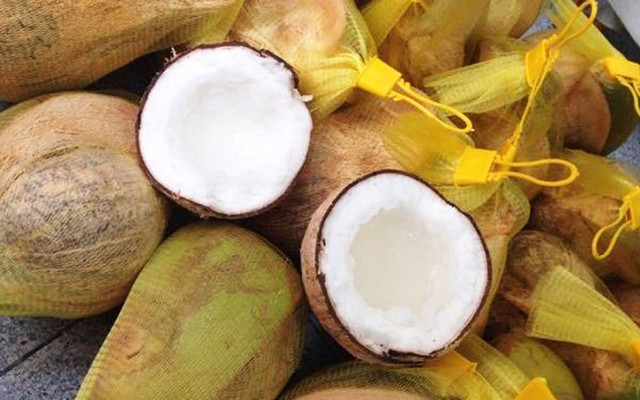 A Lô Dừa Sáp - Đặc Sản Trà Vinh