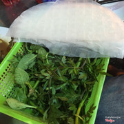 Rau rừng