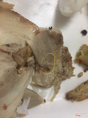 Đây là dòi đang bò mình lấy máy ra chụp luôn