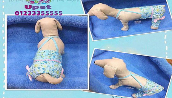 UPET Phụ Kiện Chó Mèo