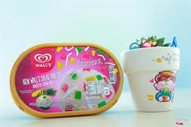 Hộp Wall's Salad Trái Cây 750ml - 80.000