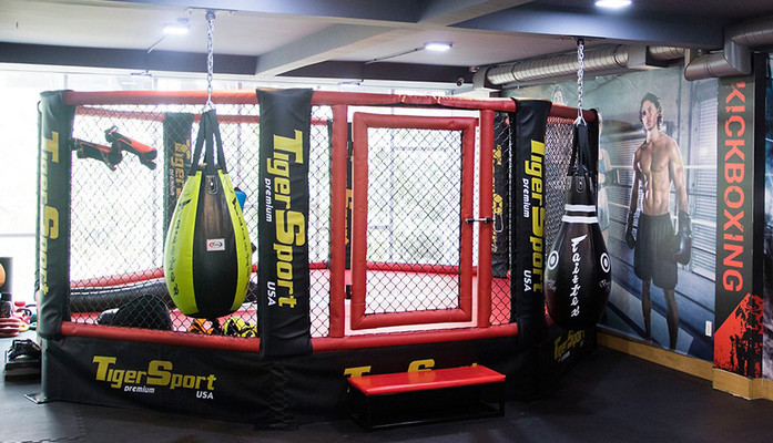 Gymaster - Tổ Hợp Gym Chuyên Nghiệp